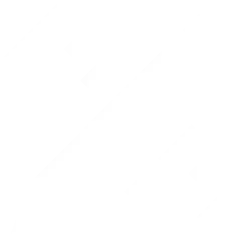 Customized-Solutions