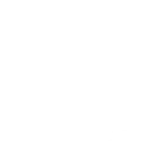 Global-Export-Experience