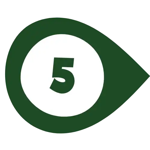 number-five