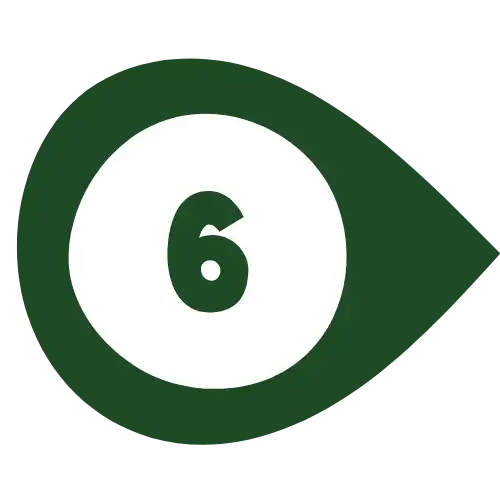 number-six